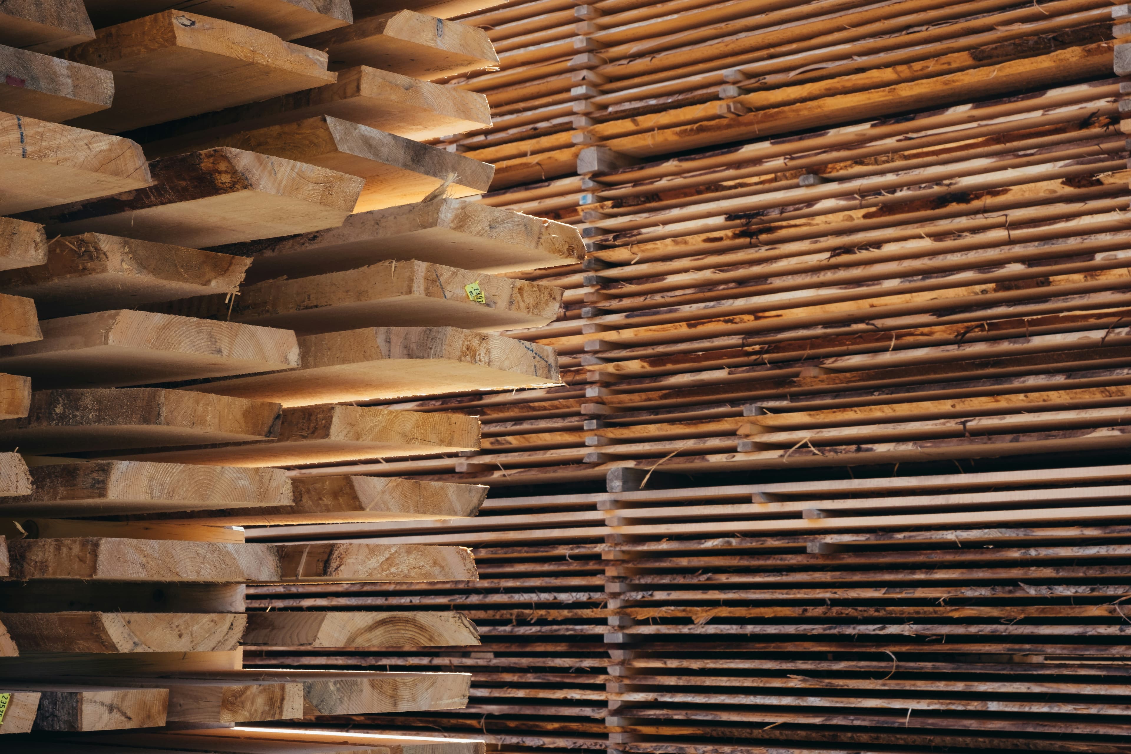 Next-Gen AI for Lumber Distribution